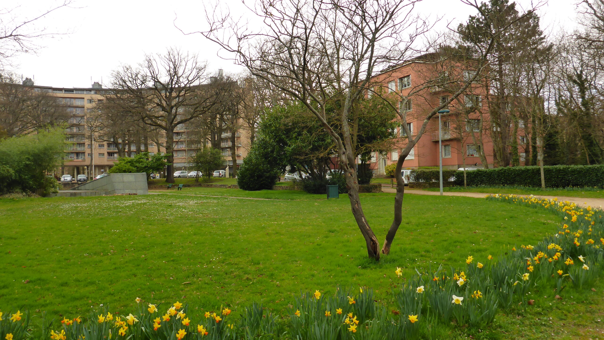 Vue de la cité-jardin de la Butte Rouge à Châtenay-Malabry depuis le square des Américains